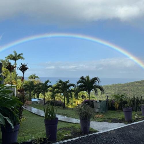 a rainbow in the sky over a garden with palm trees at Domaine Choco Vanille in Deshaies