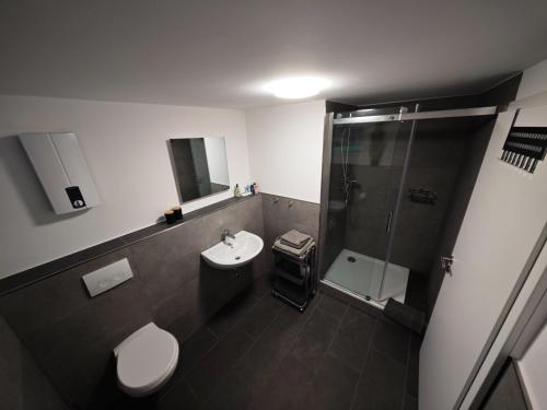 a bathroom with a shower and a toilet and a sink at Ruridylle IV in Simmerath
