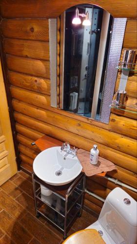 a bathroom with a sink and a mirror at Apartments Greenstone in Kolašin