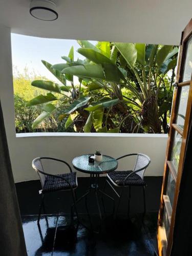 a table and chairs in a room with plants at DUNIYA HOMES in Pretoria