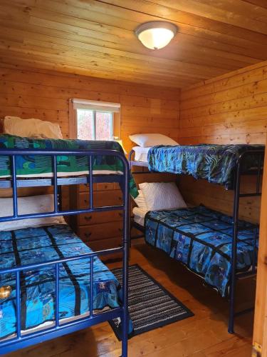 a room with three bunk beds in a cabin at Thunder Cove Holiday Beach House in Kensington