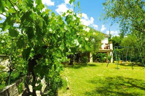 a tree in a yard with a swing at Ma Vie La in Fayence