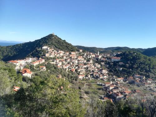 a small village on a hill in the mountains at Villa Marisari in Otok Lastovo