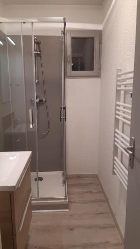 une salle de bain avec une douche avec une porte vitrée dans l'établissement T3 plain pied jardin privatif, à Saligos