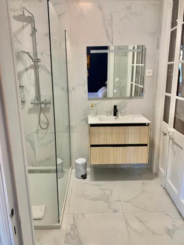 une salle de bain avec douche et lavabo dans l'établissement Domaine du cheval d’argent, à Saiguède