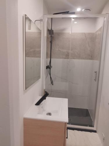 une salle de bain avec un lavabo et une douche dans l'établissement Appartement Cosy, Nantes-St-Herblain, à Saint-Herblain