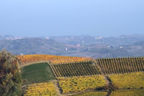 Cascina Marcantonio – Photos 5