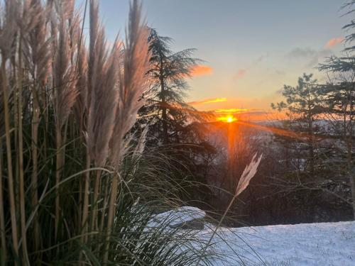 a sunset in a field with snow and plants at Monte Paradiso Agriturismo in Pietralunga