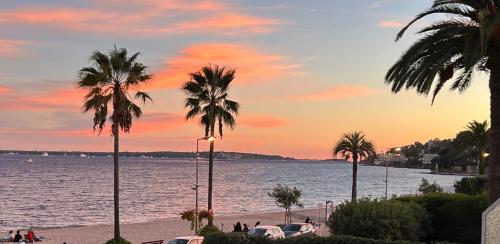 Très bel appartement sur la plage avec grande terrace face à la mer! La Goelette
