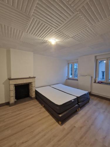 une grande pièce avec un lit et une cheminée dans l'établissement La ferme 1313 jusqu'à 8 personnes, à Cirey-sur-Vezouse