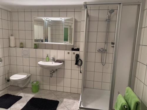 a bathroom with a shower and a sink and a toilet at Wohlfühloase mit Wasserbett in Bodelshausen