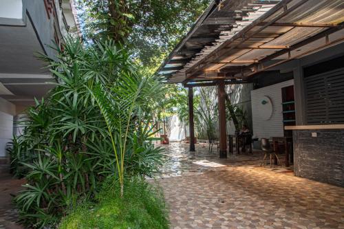 a group of plants on a sidewalk next to a building at Casa Colonial Tulum in Tulum