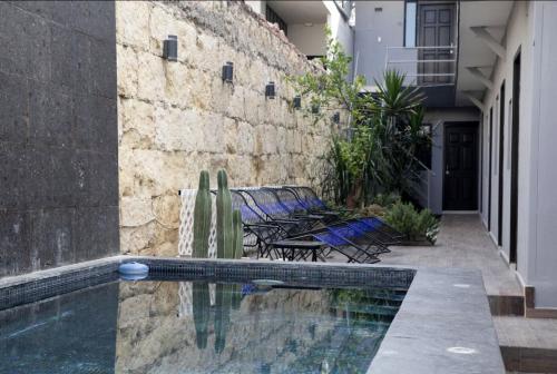 una piscina con sedie e un cactus accanto a un edificio di Adhoc Boutique Barrio Antiguo a Monterrey