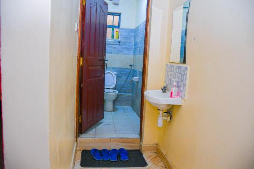 a bathroom with a shower and a sink and a toilet at One Bedroom Furnished in Kasarani-Nairobi in Nairobi