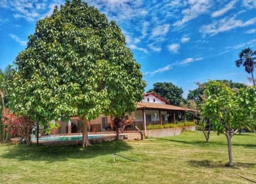 a house with a large tree in the yard at Chacara beira rio in Barreiras