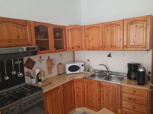a kitchen with wooden cabinets and a sink and a microwave at Domu Asquer 9 in Fluminimaggiore
