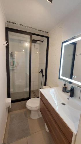 a bathroom with a toilet and a sink and a shower at CasaNativa 7Sur in Curicó