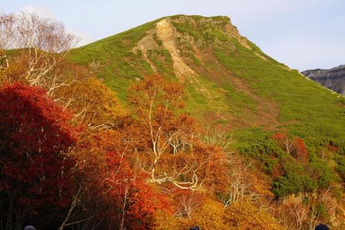 a hill with colorful trees on the side of it at Mountain Gate FURANO in Kami-furano