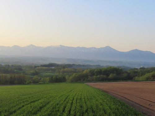 a field of green grass with mountains in the background at Mountain Gate FURANO in Kami-furano