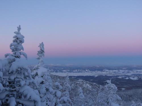 a snow covered tree on top of a mountain at Mountain Gate FURANO in Kami-furano