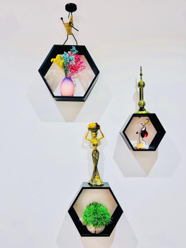 a group of pictures on a wall with a plant at Studio 19 Diamond-2bedroom apartment in Gaborone