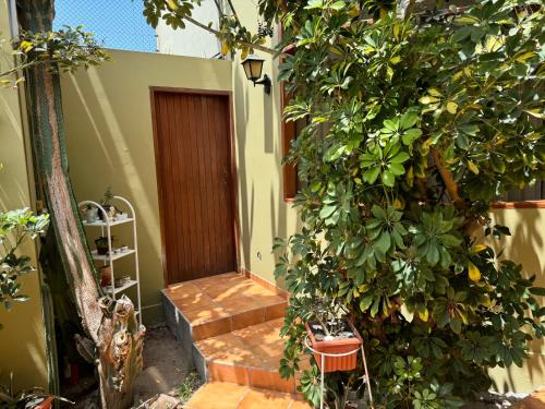 Κήπος έξω από το Casa en Mollendo