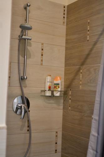 a shower in a bathroom with a shower head at Pinzi's home in Limite