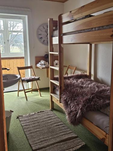 a bedroom with a bunk bed with a furry rug at Marktredwitzer Haus in Waldershof