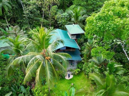 a green house in the middle of a forest at Casa Aire Libre in Puerto Jiménez