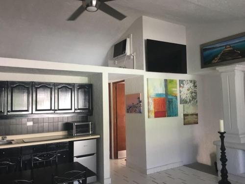 a kitchen with black cabinets and a ceiling fan at COZUMEL-1 Bed 1 Ba PARADISE in Cozumel