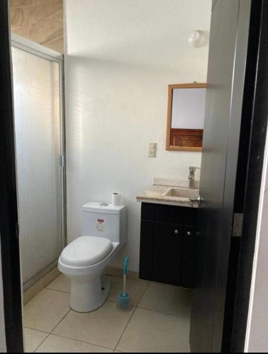a bathroom with a toilet and a sink and a mirror at Casa en bosques de San Juan in San Juan del Río