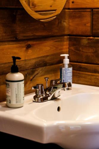 a bathroom sink with a bottle of soap on it at THE LOFT 3 level urban cabin with a HUGE patio! in Willmar