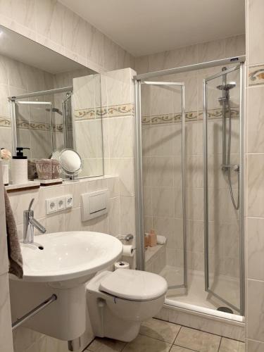 a bathroom with a shower and a toilet and a sink at Germania-54 in Böhl