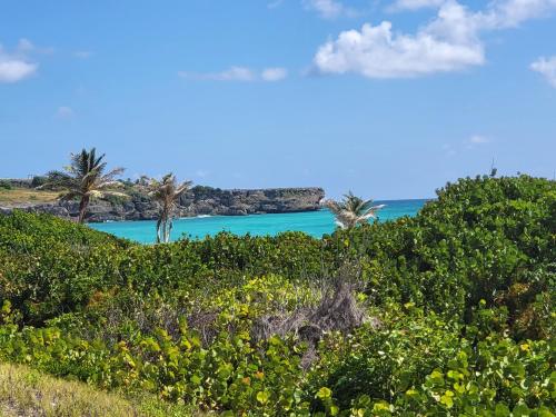 a view of a beach with palm trees and the ocean at Unique Villa Retreat Style! Full Sea Views & Pool! villa in Christ Church
