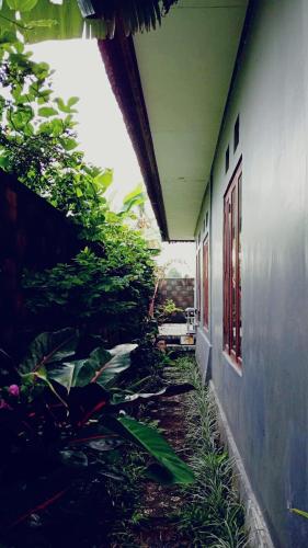 Κήπος έξω από το Private Villa Frangipani