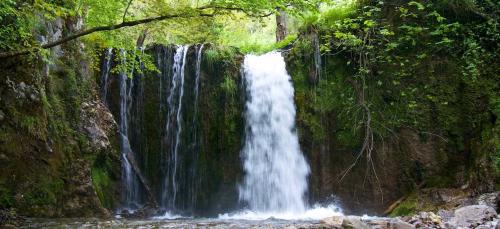 a waterfall in the middle of a forest at Casa Ferrigno in Maiori