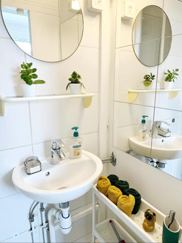 une salle de bain avec un lavabo et un miroir dans l'établissement Appartement cosy au cœur du Paris 17eme, à Paris