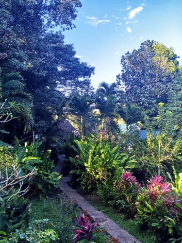 a garden with many different plants and trees at Maya Mountain Lodge in San Ignacio