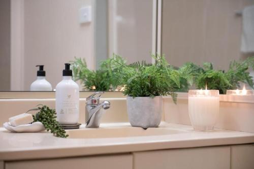 a bathroom sink with two bottles of soap and plants at Beach House on Begley- Airlie Beach Central in Airlie Beach