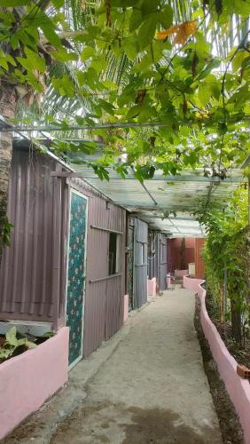 an empty hallway of a building with plants at Chill Door Homestay in Ấp Long Ðại