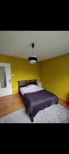 - une chambre avec un grand lit dans un mur jaune dans l'établissement Maison Chaleureuse, à Illkirch-Graffenstaden
