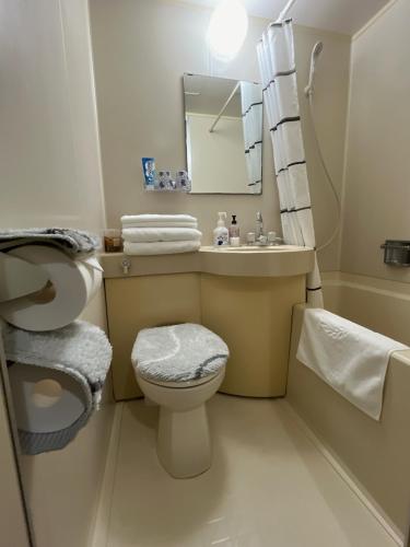 a bathroom with a toilet and a sink and a mirror at ToyamaHouse2-202 in Tokyo