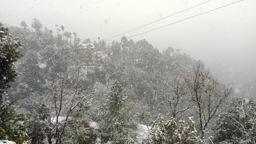 a ski lift in the middle of a snow covered forest at Nature Sanctuary Stay in Jutogh