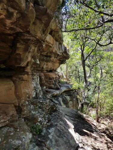 a rocky trail in a forest with trees at Blyde Canyon, A Forever Resort in Matibidi