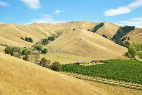a hillside with a farm in the middle of a field at Cloudy Bay Suite in an 6-bedroom luxury villa in Blenheim