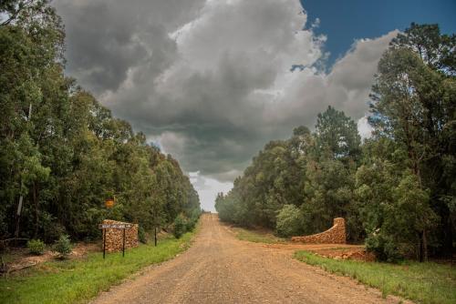 a dirt road with trees on either side of it at Mount Lake Cabins in Harrismith