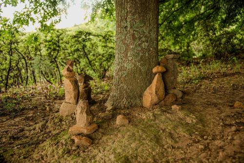 a group of stuffed animals standing around a tree at Mount Lake Cabins in Harrismith
