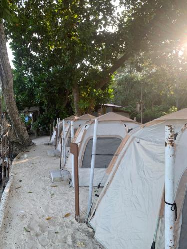 a row of tents are lined up on the beach at Cabana Campsite in Pulau Perhentian Besar