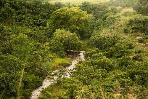 an aerial view of a river in a forest at Mount Lake Cabins in Harrismith