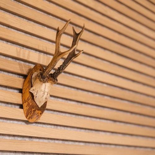 Gambar di galeri bagi Waldbewohner Apartments / Fuchs di Ilsenburg
